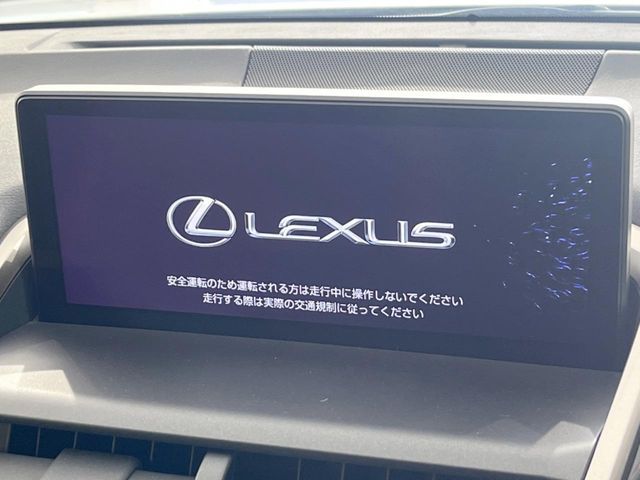 TOYOTA LEXUS NX300 2020