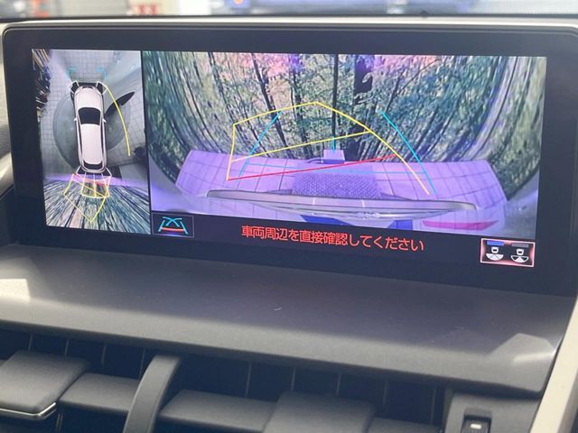 TOYOTA LEXUS NX300 2020