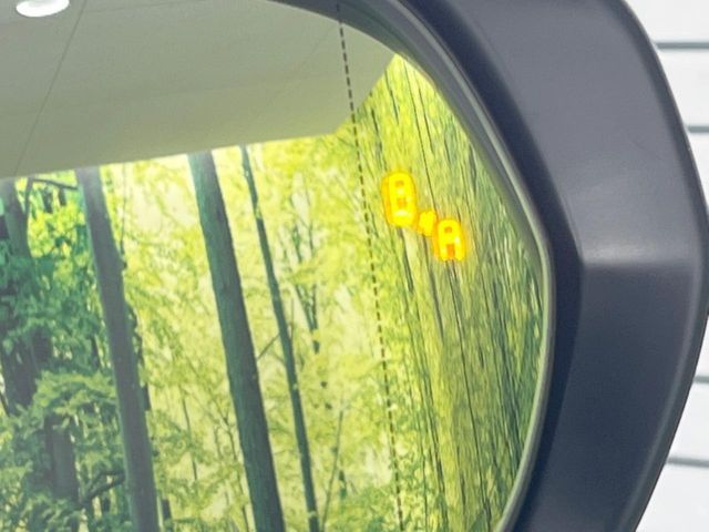 TOYOTA LEXUS NX300 2020