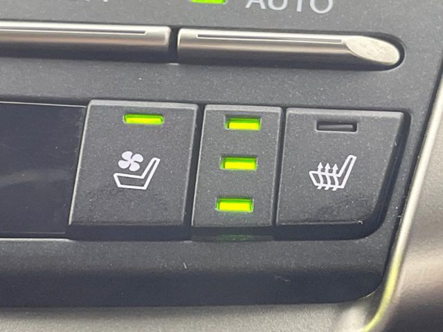 TOYOTA LEXUS NX300 2020