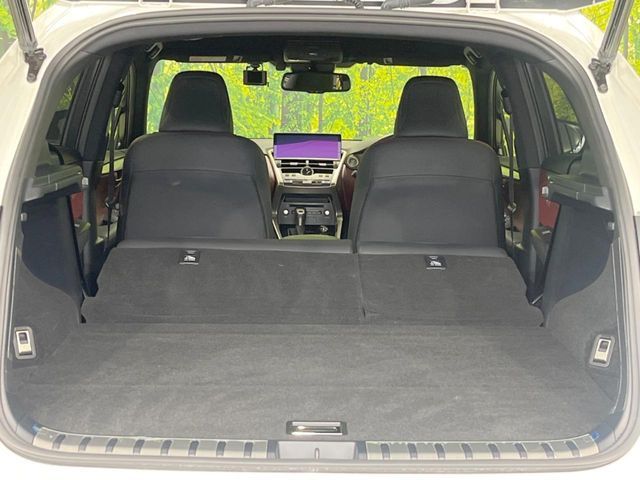 TOYOTA LEXUS NX300 2020