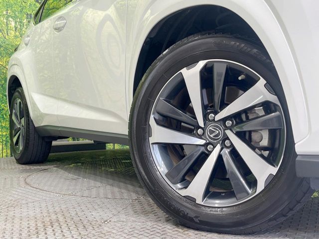 TOYOTA LEXUS NX300 2020