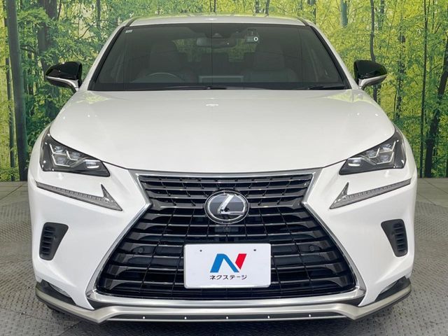 TOYOTA LEXUS NX300 2020