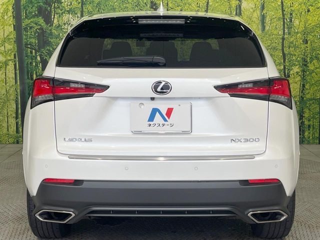 TOYOTA LEXUS NX300 2020