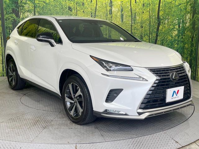 TOYOTA LEXUS NX300 2020