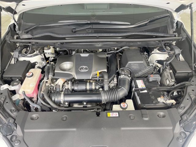 TOYOTA LEXUS NX300 2020