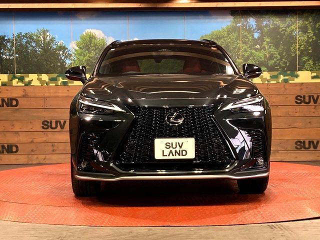 TOYOTA LEXUS NX350h 2023