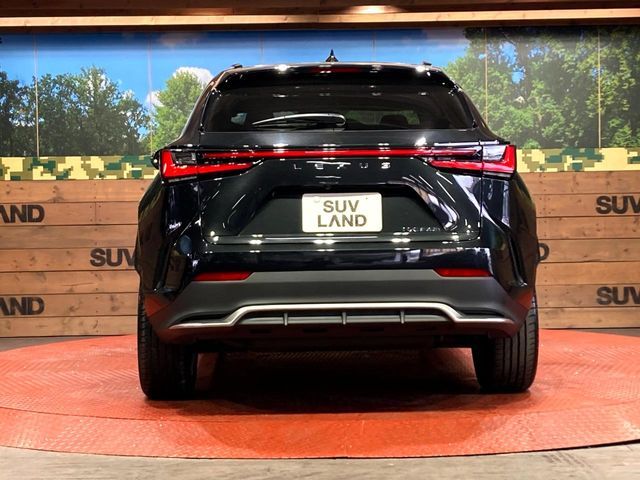 TOYOTA LEXUS NX350h 2023