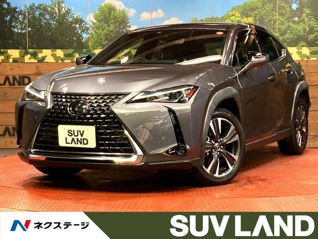 TOYOTA LEXUS UX200 2019