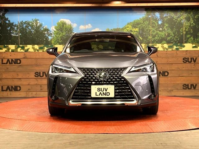 TOYOTA LEXUS UX200 2019