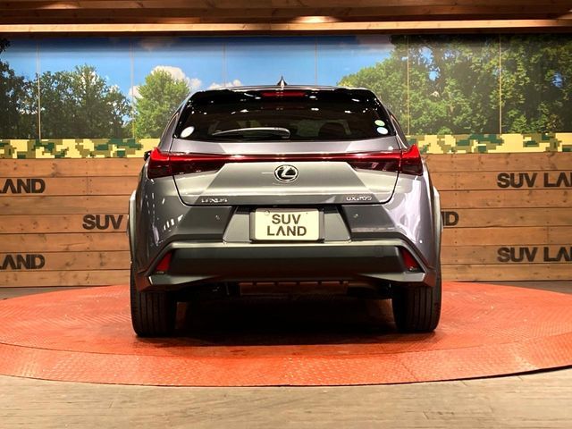 TOYOTA LEXUS UX200 2019