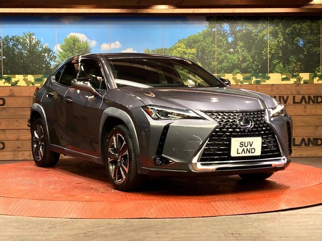 TOYOTA LEXUS UX200 2019