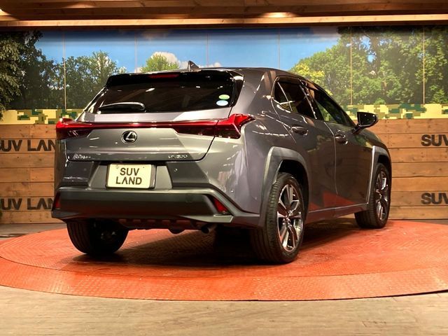 TOYOTA LEXUS UX200 2019
