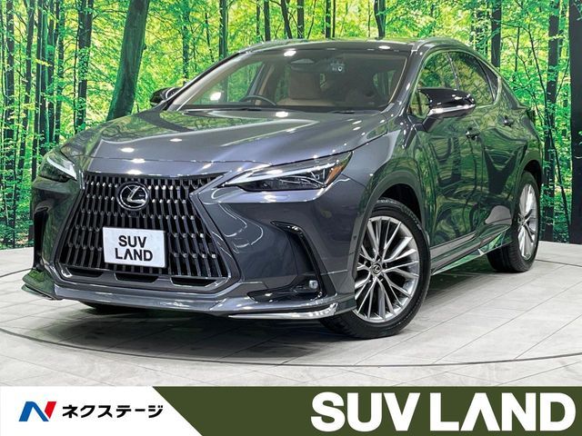 TOYOTA LEXUS NX350h 2022