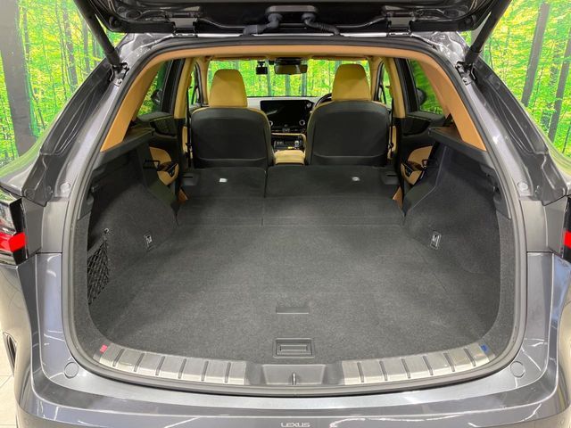 TOYOTA LEXUS NX350h 2022