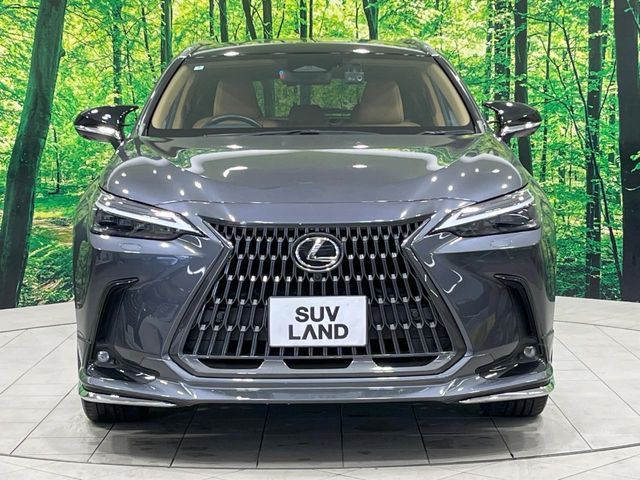 TOYOTA LEXUS NX350h 2022