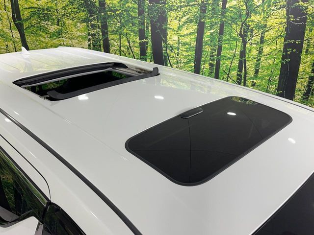 TOYOTA ALPHARD hybrid 4WD 2019