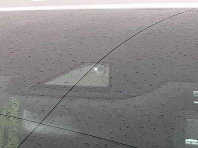 TOYOTA ALPHARD hybrid 4WD 2019