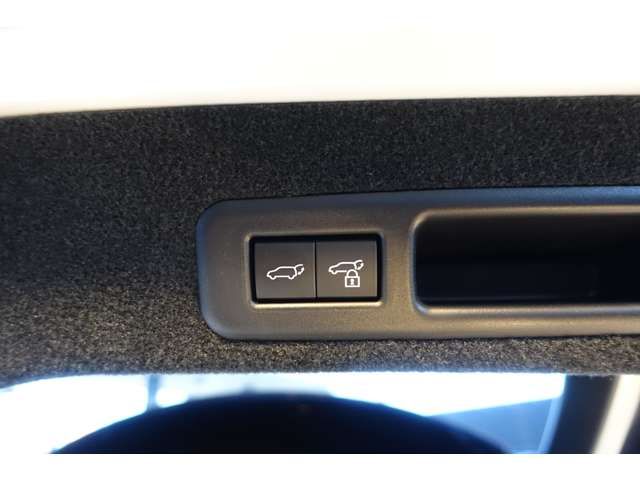 TOYOTA LEXUS RX450h AWD 2022