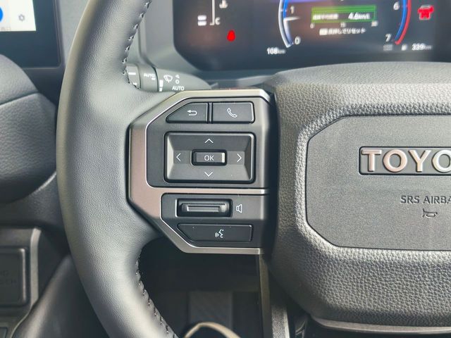 TOYOTA LANDCRUISER 250 2025