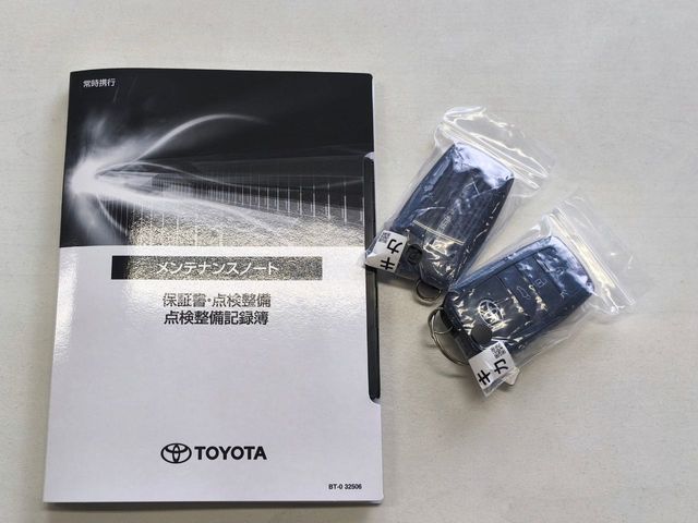 TOYOTA LANDCRUISER 250 2025