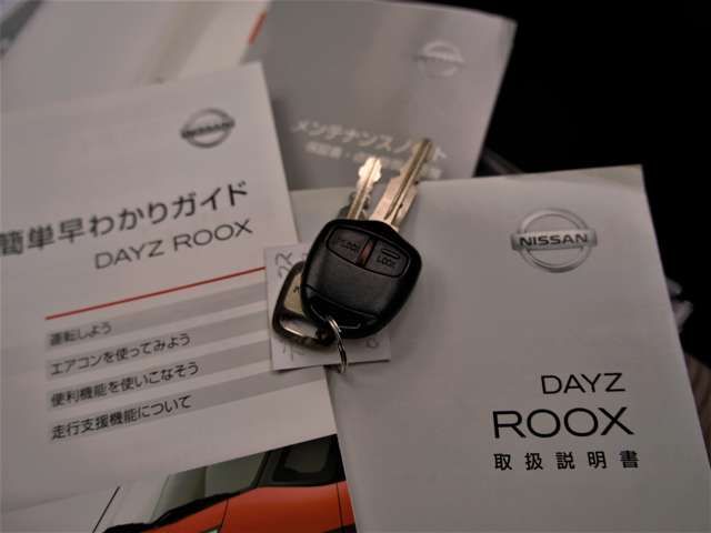 NISSAN DAYZ ROOX 4WD 2016