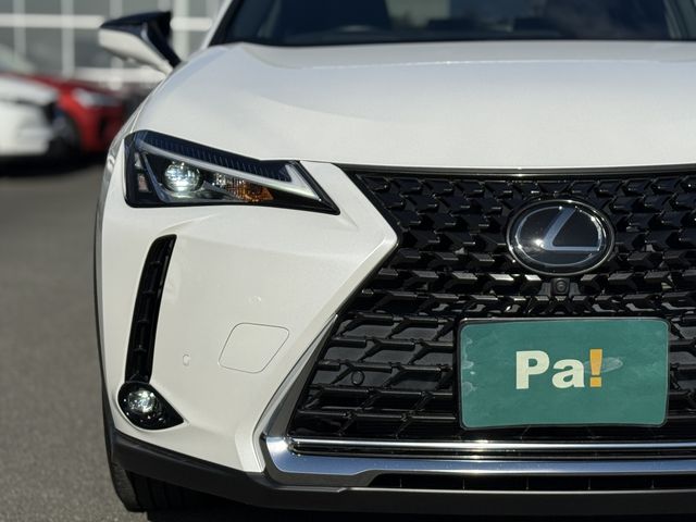 TOYOTA LEXUS UX200 2020