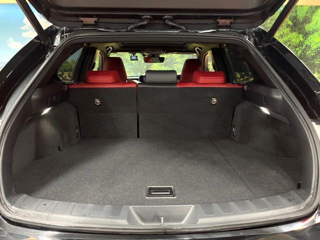 TOYOTA LEXUS UX250h 2021