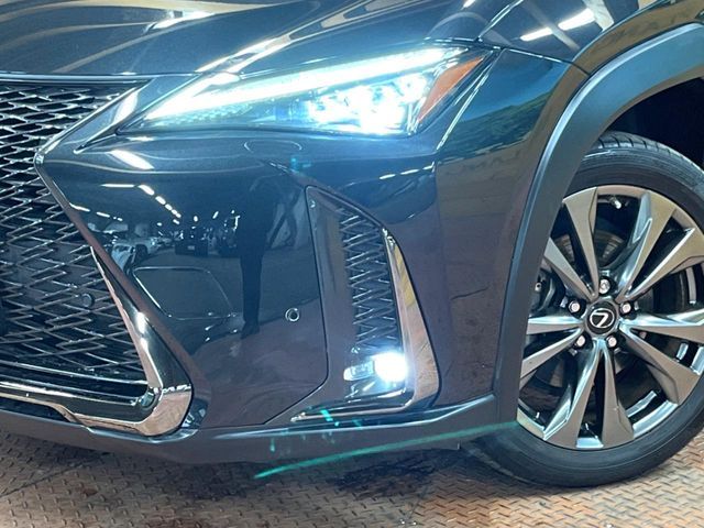 TOYOTA LEXUS UX250h 2021