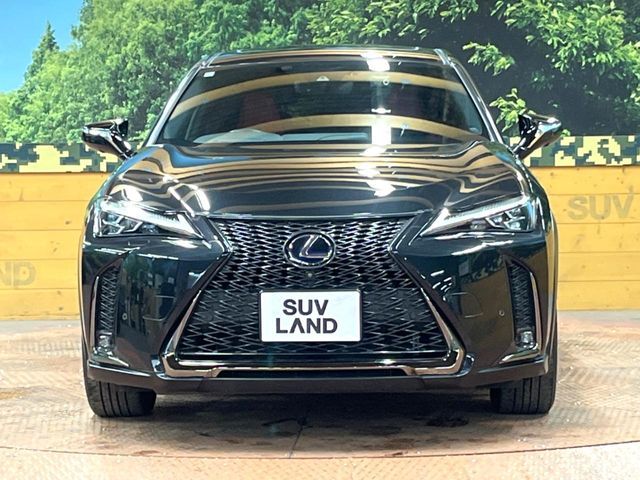 TOYOTA LEXUS UX250h 2021