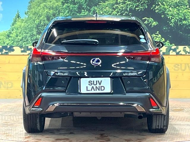 TOYOTA LEXUS UX250h 2021