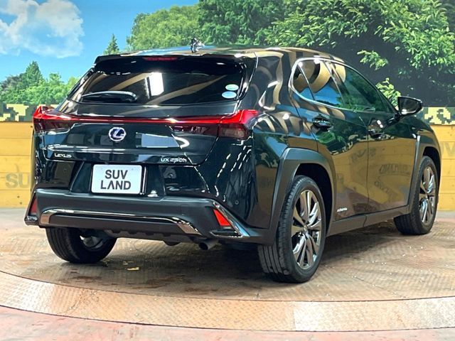 TOYOTA LEXUS UX250h 2021