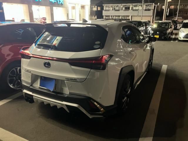 TOYOTA LEXUS UX250h 2019