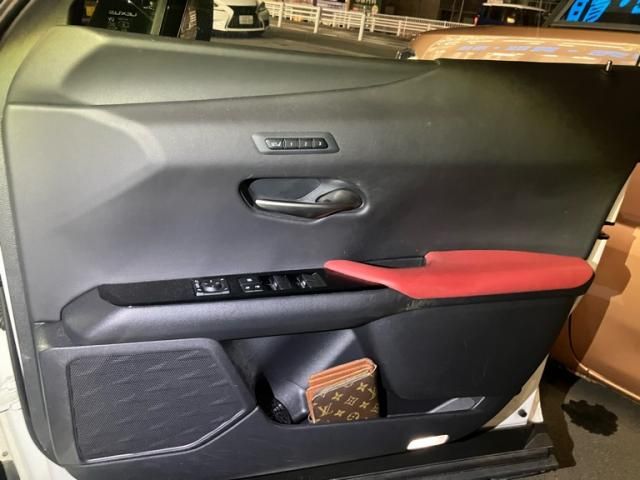 TOYOTA LEXUS UX250h 2019