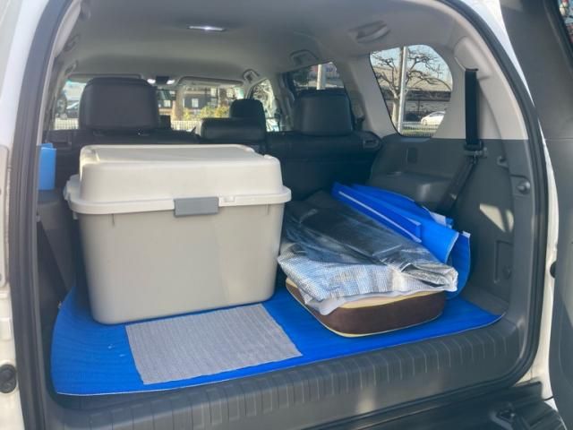 TOYOTA LANDCRUISER PRADO 2011