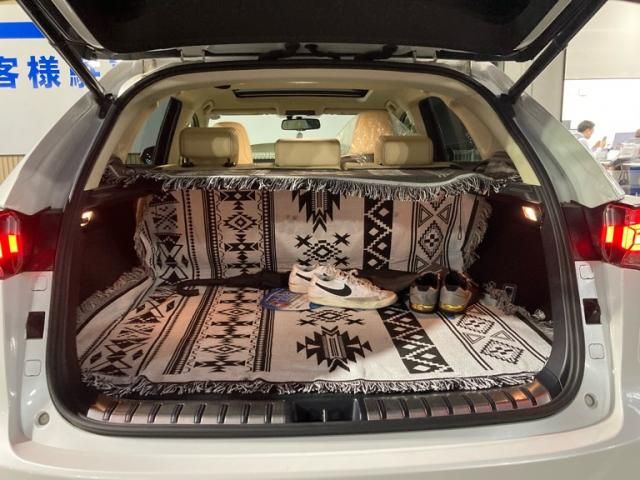 TOYOTA LEXUS NX300h 2016