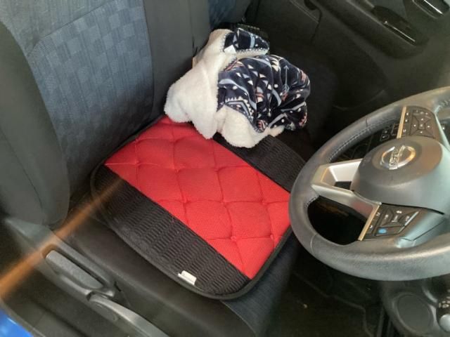 NISSAN DAYZ 4WD 2019