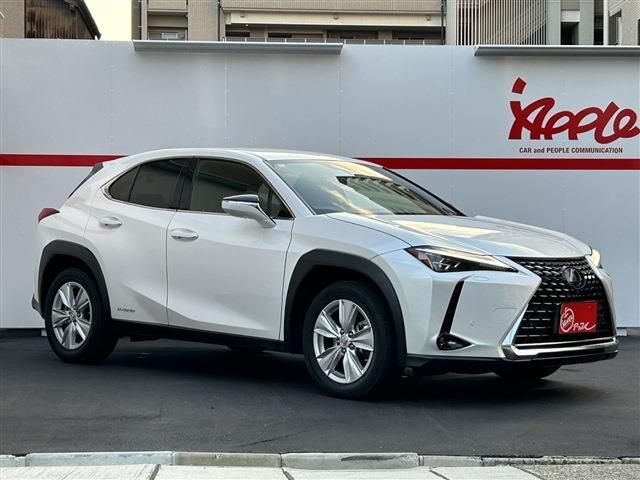 TOYOTA LEXUS UX250h 2021