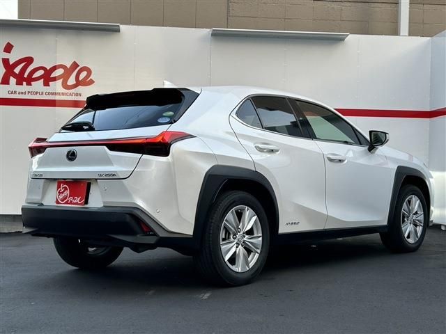 TOYOTA LEXUS UX250h 2021