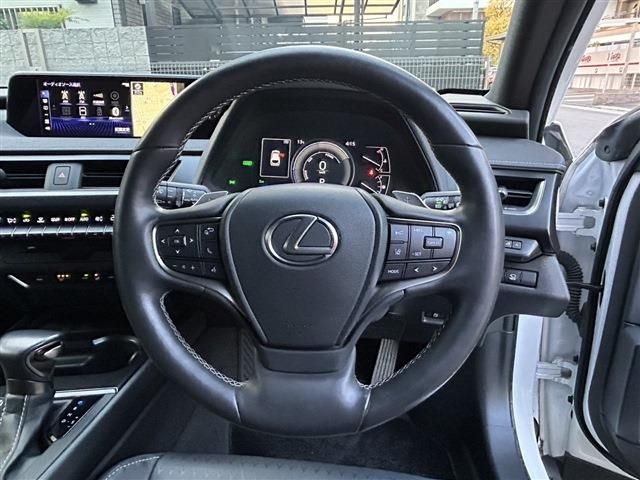 TOYOTA LEXUS UX250h 2021