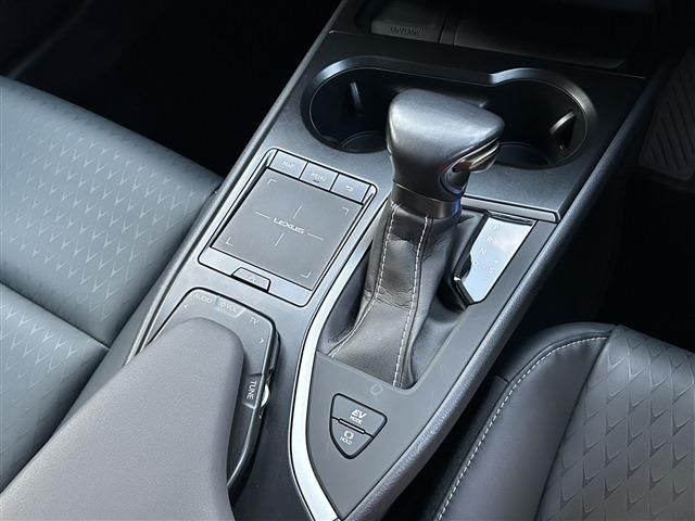 TOYOTA LEXUS UX250h 2021