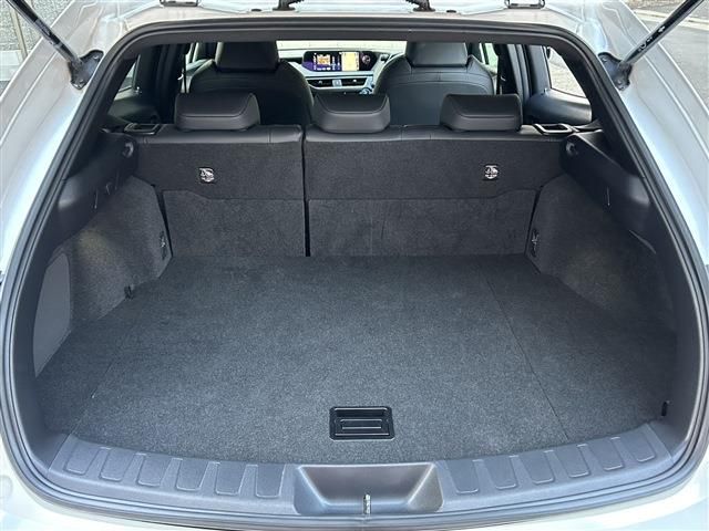 TOYOTA LEXUS UX250h 2021