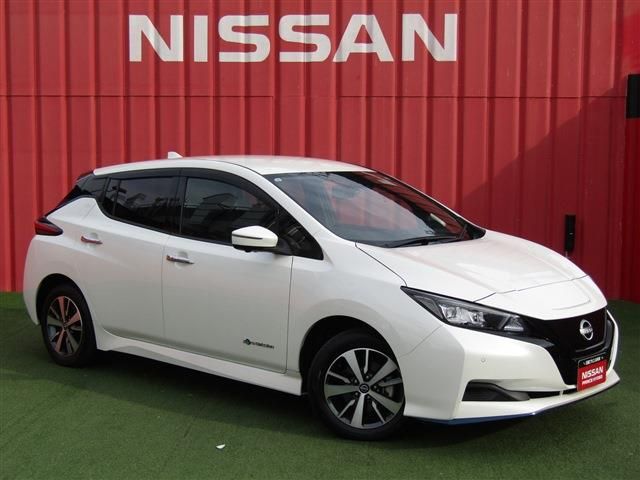 NISSAN LEAF 2021