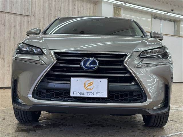 TOYOTA LEXUS NX300h 2014