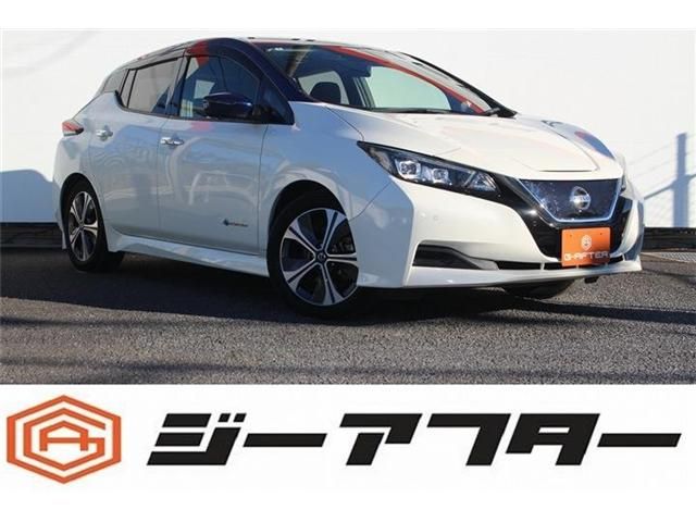 NISSAN LEAF 2020