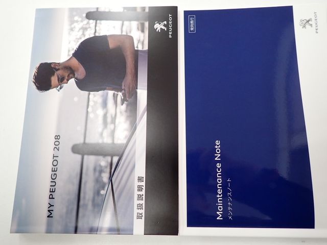 PEUGEOT PEUGEOT 208 2020