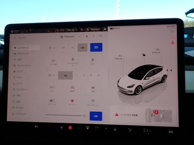 TESLA TESLA MODEL 3 2022