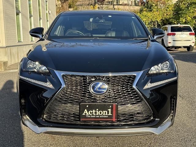 TOYOTA LEXUS NX300h 2015
