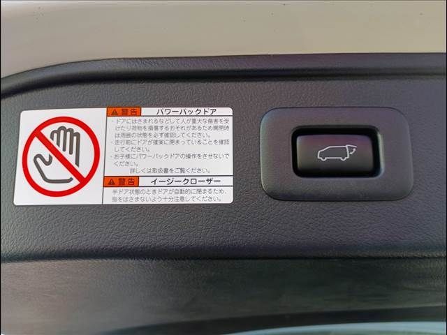 TOYOTA ALPHARD 4WD 2022