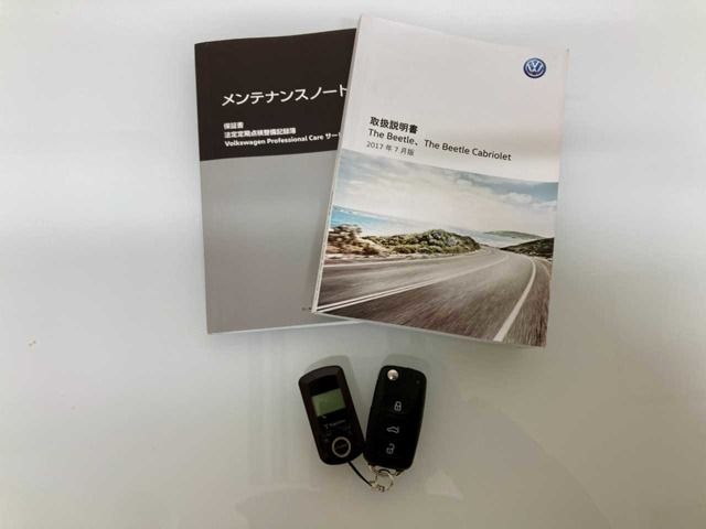 VOLKSWAGEN VOLKSWAGEN The BEETLE 2018